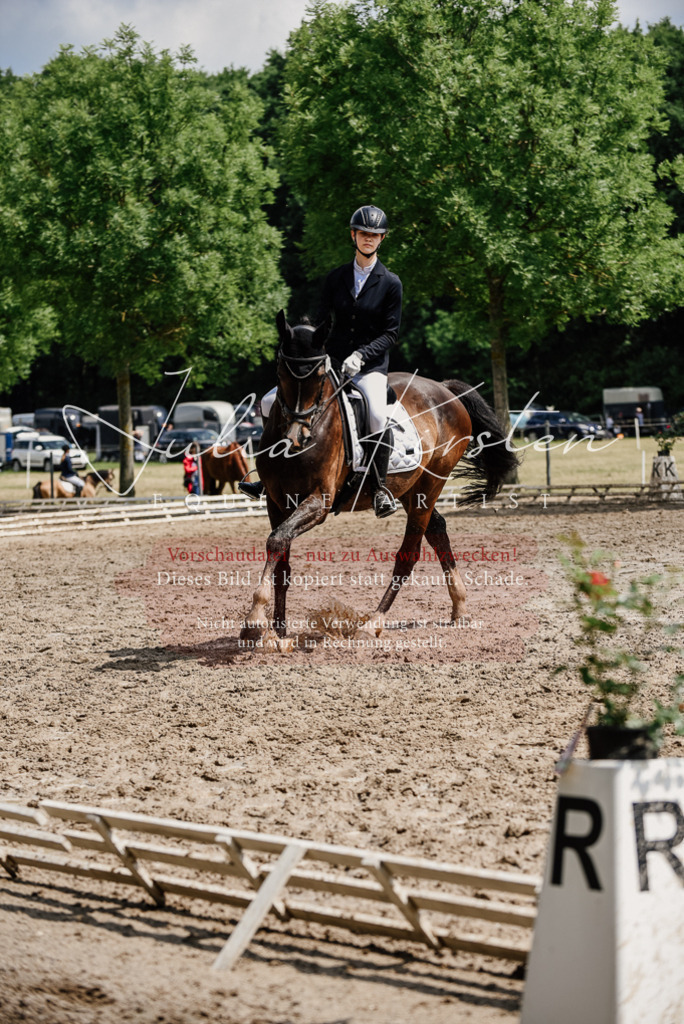 DSC_0846 | Pferde- und Turnierfotografie in Westsachsen. Pferdeportraits, Auftragszeichnungen und intuitive Kunst.