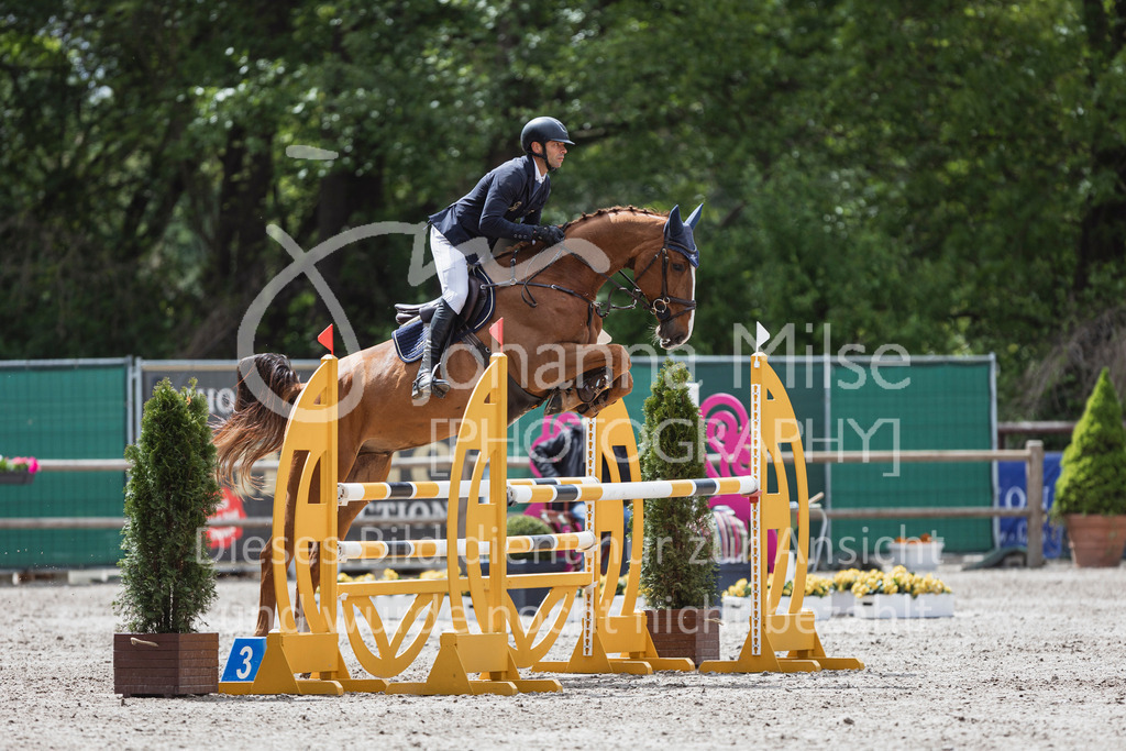 250506_Mühlen_SprPf-L1-332 | Deine schönsten Turniermomente als professionelle Fotos! Entdecke hochwertige Pferdesport-Fotografie im Online-Shop. Jetzt Fotos finden & bestellen!