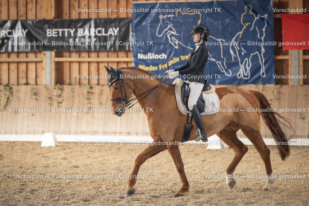 _D5A2812 | Emotionale Pferde- & People-Fotografie rund um Heidelberg, Leimen & Umgebung. Natürliche Fotos von Pferd, Mensch & Familie. Jetzt Termin sichern!