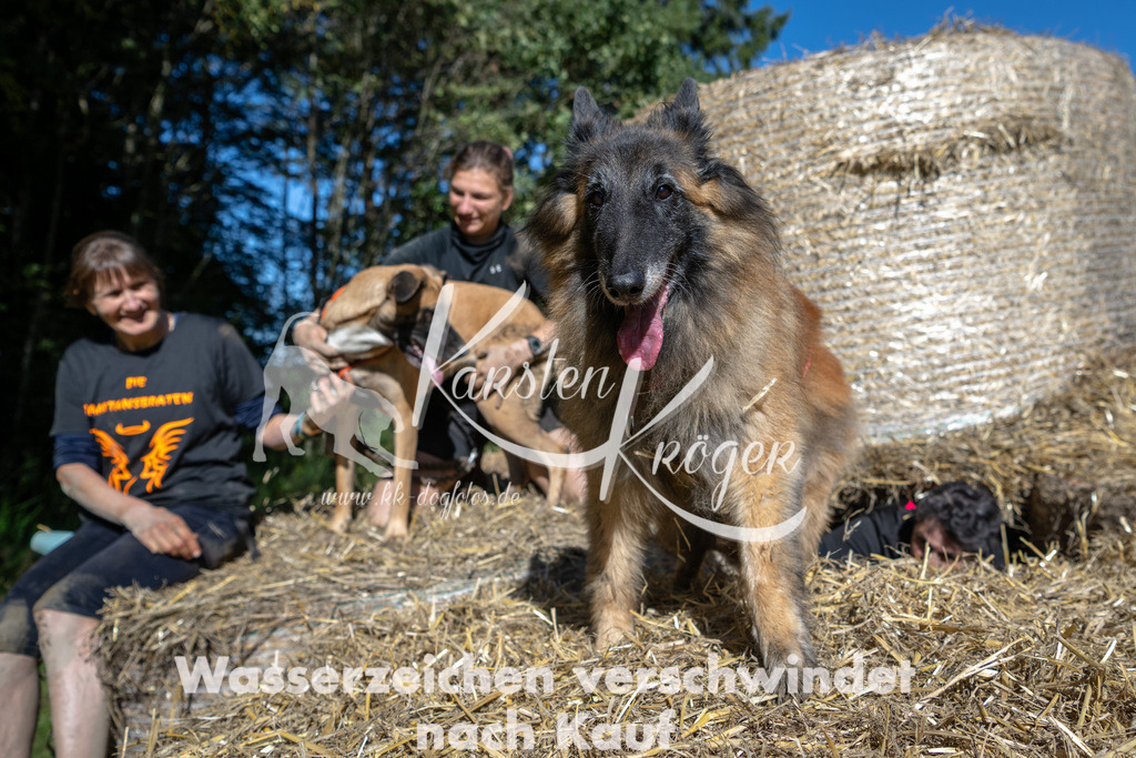 1233_ZZ91541-2 | kk-dogfotos