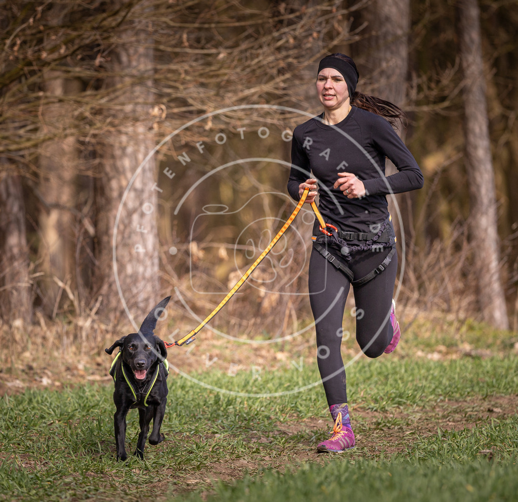 DV3A6077 | Hundefotografie, Tierfotograf, Pfotenfotografie, Fotoshooting Hund, Hunde Portrait, Hundesport, Hundeportraits, Heideshooting, Hunde, Sportfotograf, Hundefotograf, Turnierhundsport, THS,  - Realisiert mit Pictrs.com