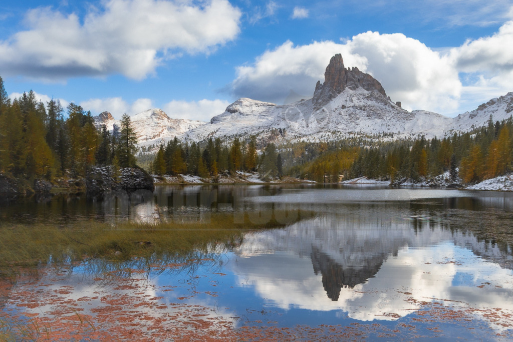 R6NF7158_20251005 | Das Bild zeigt den Lago Federa in den Dolomiten, Italien, im Spätherbst oder Frühwinter. Im Vordergrund ist der ruhige See zu sehen, dessen Oberfläche die umliegenden, teilweise schneebedeckten Berge und den blauen Himmel mit weißen Wolken perfekt widerspiegelt. Besonders markant ist der Gipfel der Croda da Lago auf der rechten Seite, der sich majestätisch über den See erhebt. Die Ufer sind gesäumt von Nadelbäumen, darunter viele Lärchen, deren Nadeln sich in leuchtendes Gold und Orange verfärbt haben. Auf den höheren Lagen und teilweise am Ufer liegt bereits frischer Schnee, was der Szene eine besondere Atmosphäre verleiht. Im Vordergrund des Sees sind auch Wasserpflanzen mit rötlichen Blättern und grünes Schilf zu erkennen. - Realisiert mit Pictrs.com
