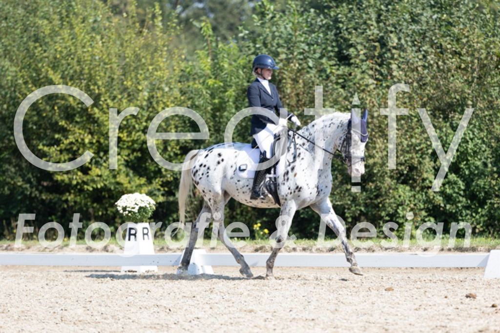 IMG_4619 | Creatify Fotografie