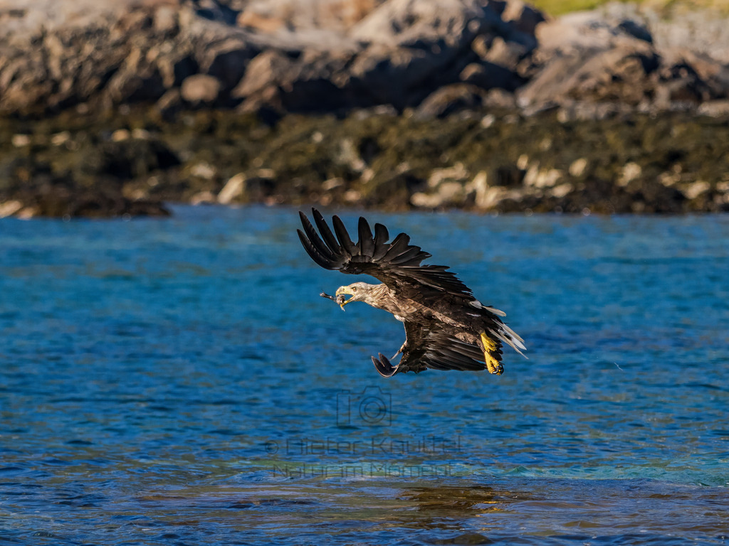 P1001729-Bearbeitet-2022-LR | Natur im Moment - Realisiert mit Pictrs.com