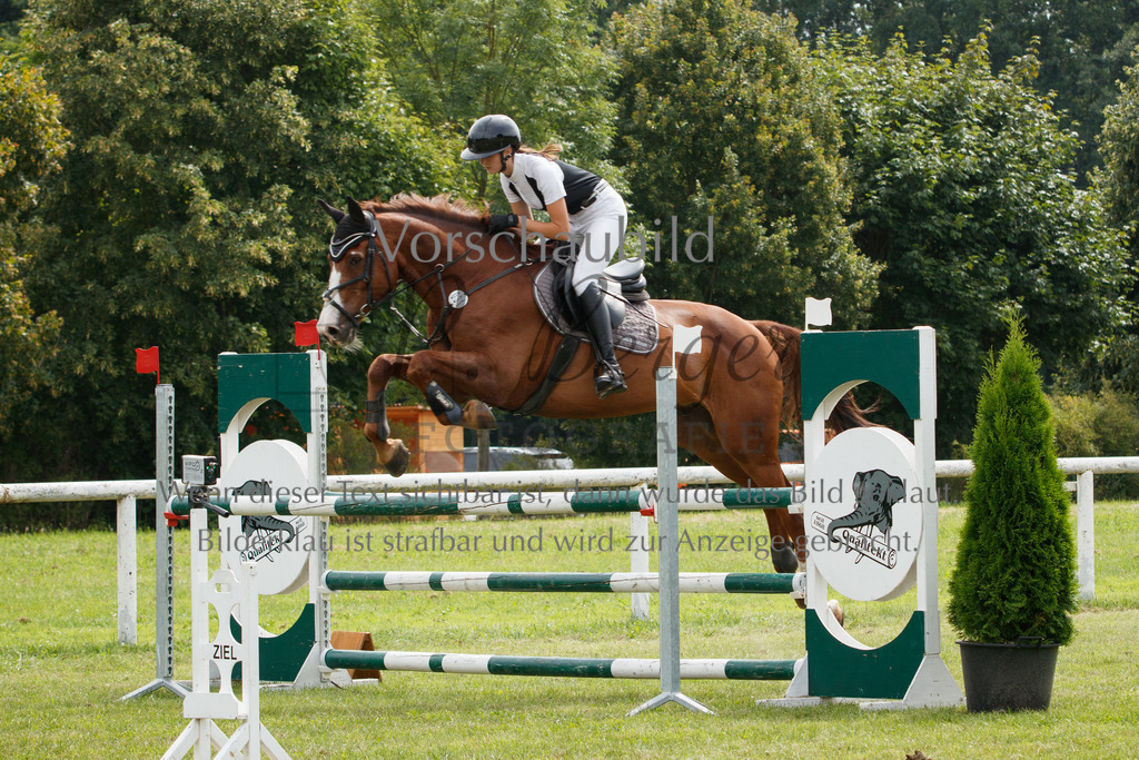 IMG_3179 | P. Berger Fotografie - Realisiert mit Pictrs.com