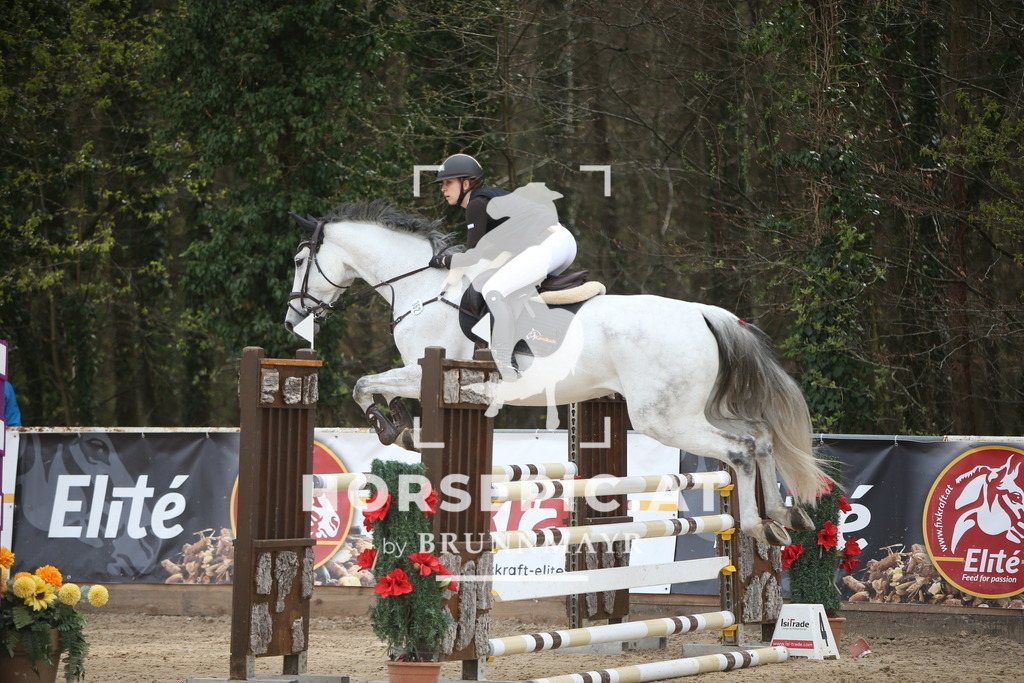 PP017739 | Willkommen bei Brunnmayr - Design & Fotografie – Ihrem Spezialisten für Reitturniere und Pferdeveranstaltungen in Oberösterreich, Salzburg und Bayern! Seit über 17 Jahren sind wir leidenschaftlich dabei.