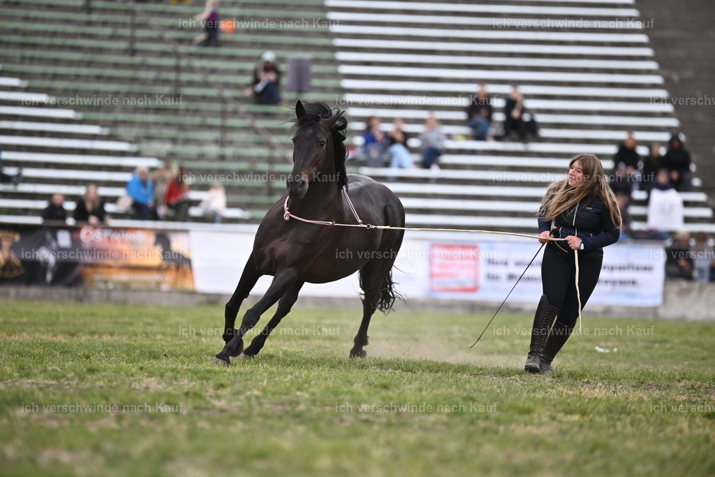 PI26_Show_Sara_Landvogt_226_0995.JPG | working equitationturnier fotograf videograf stoibphotography marixx film working equitation deutschland reitsport turnierfotografie eventfotografie equestrian events