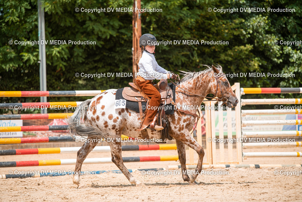 ZS2_8212 | dv-media-shop - Realisiert mit Pictrs.com