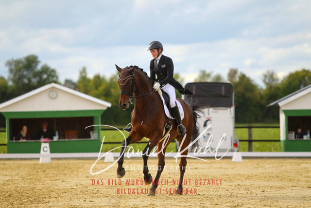 DKP44552 | Turniersportfotografie; Pferdefotografie; Dressurfotografie