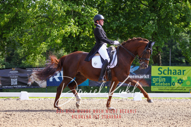 DKP41421 | Turnierfotos kaufen im Webshop von Daniel Kuhl Photography – entdecke professionelle Reitsportfotos aus Turnieren & Events. Hochwertige Turnierbilder online bestellen & sichern. Jetzt Fotos von Reitsportturnieren kaufen!