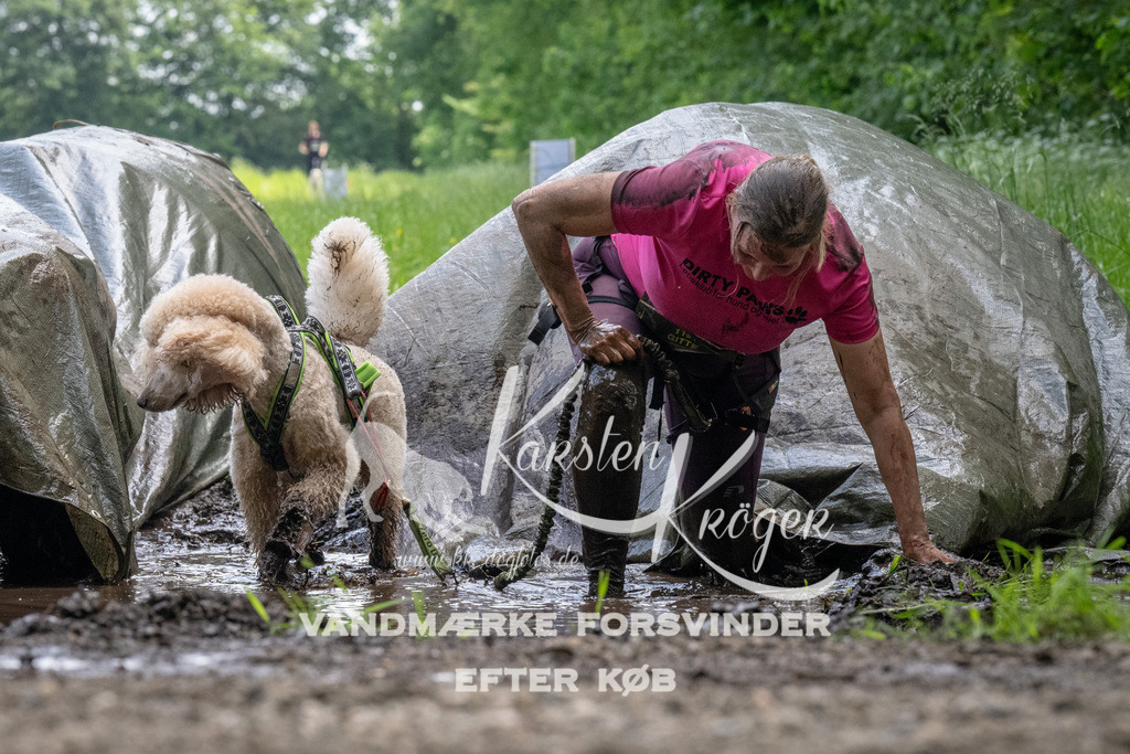 1143_ZZ94207 | kk-dogfotos