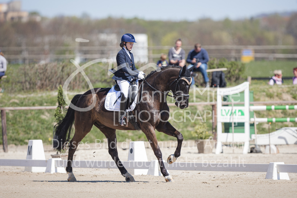 220418_L-Dressur-201 | Frühlingsfest der Pferde
Herford
18.April 2022
Dressurprfg. Kl.L* - Tr. L2ausw. geschlossen