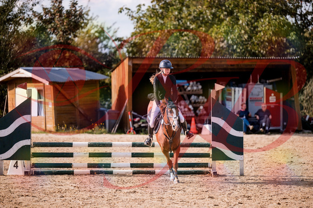 2026_10_03_Siefer-Hof_155806_Z81_77921858 | Professionelle Reitsport-, Turnier- und Eventfotografie von Robert Broda. Galerien mit ausgewählten und bearbeiteten Bildern direkt online ansehen und bestellen.
