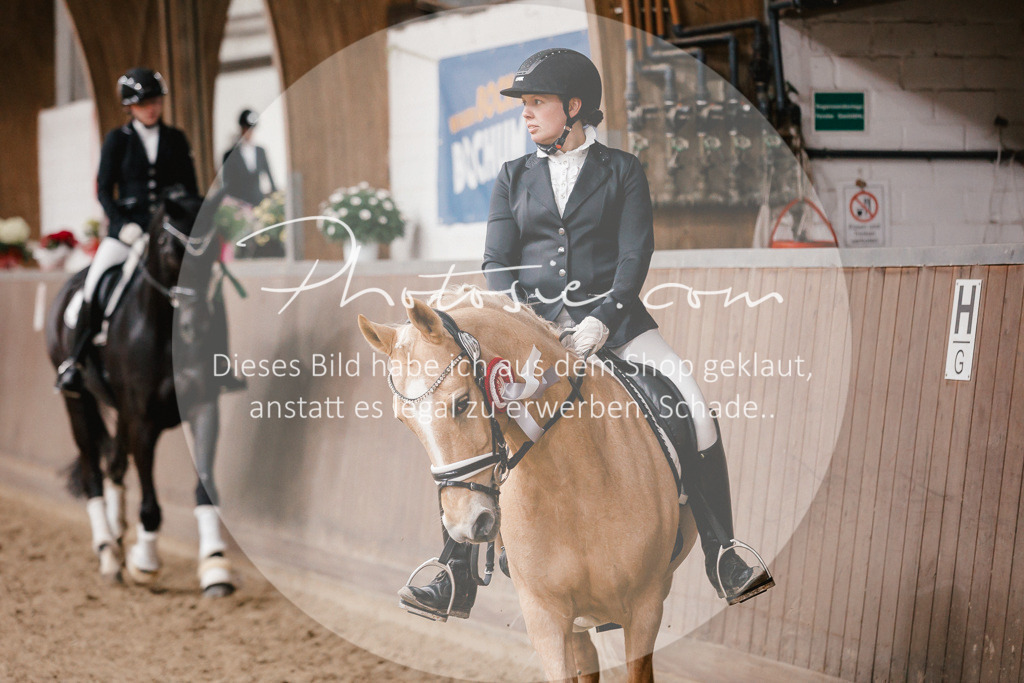 3I6A7025 | Stimmungsvolle Portraits und Reitsportfotografie im Ruhrgebiet und im Münsterland.

Pferdefotografie, Hundefotografie, Tierfotografie, Reportagen, Portraits von Tier und Mensch, Turnierfotografie in Bochum, Recklinghausen, Marl, Haltern am See, Dülmen.. - Realisiert mit Pictrs.com