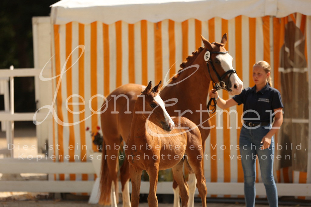 08.DoRPS00062 | Leoni Ertmer Photography - Realisiert mit Pictrs.com