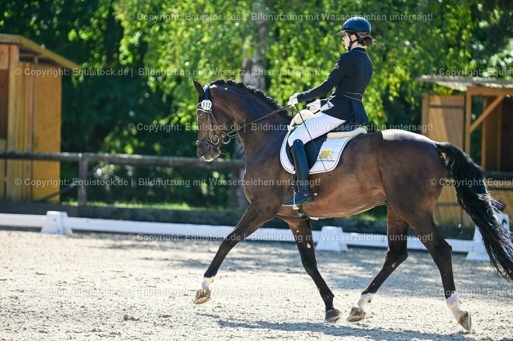 20230908_06_Dressur-L-Trense_0649 | equistock