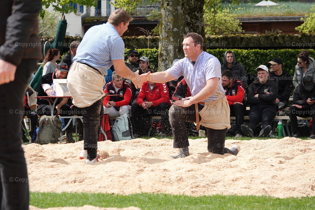 DSC00539 | Schwingen - Realisiert mit Pictrs.com