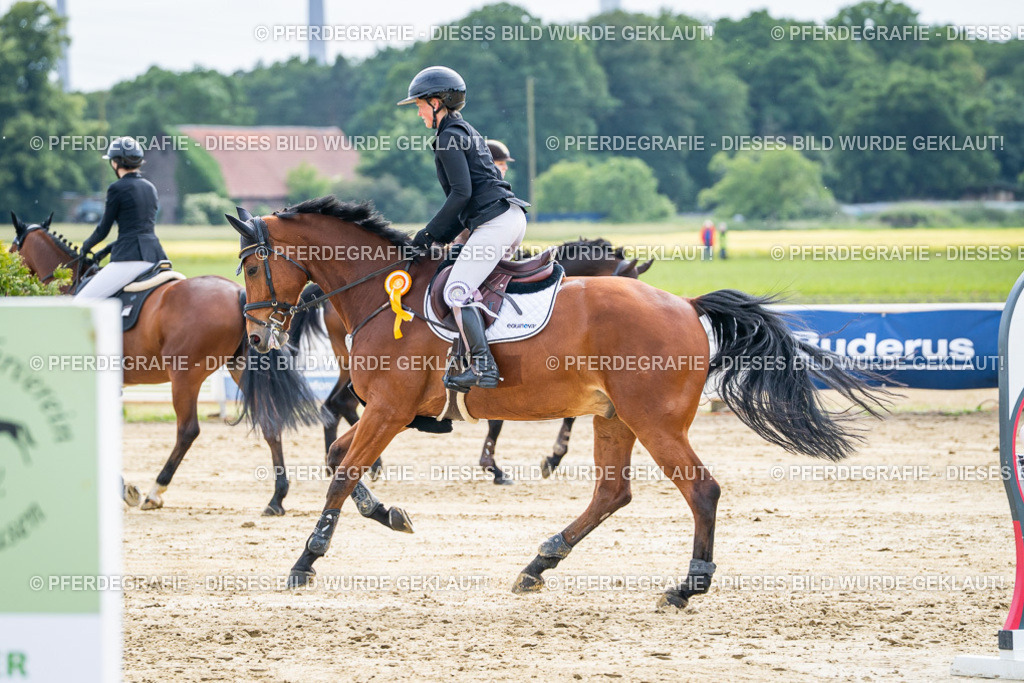 DSC05749 | Pferdegrafie