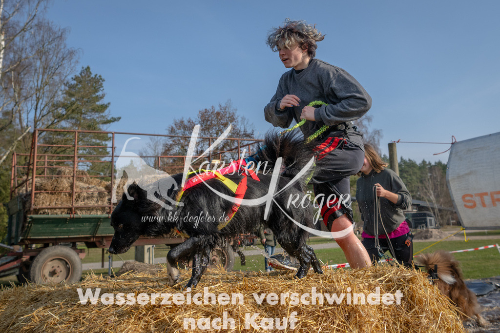 _ZZ94789 | kk-dogfotos