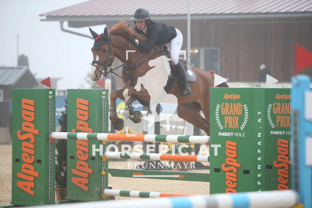 PP012411 | Willkommen bei Brunnmayr - Design & Fotografie – Ihrem Spezialisten für Reitturniere und Pferdeveranstaltungen in Oberösterreich, Salzburg und Bayern! Seit über 17 Jahren sind wir leidenschaftlich dabei.