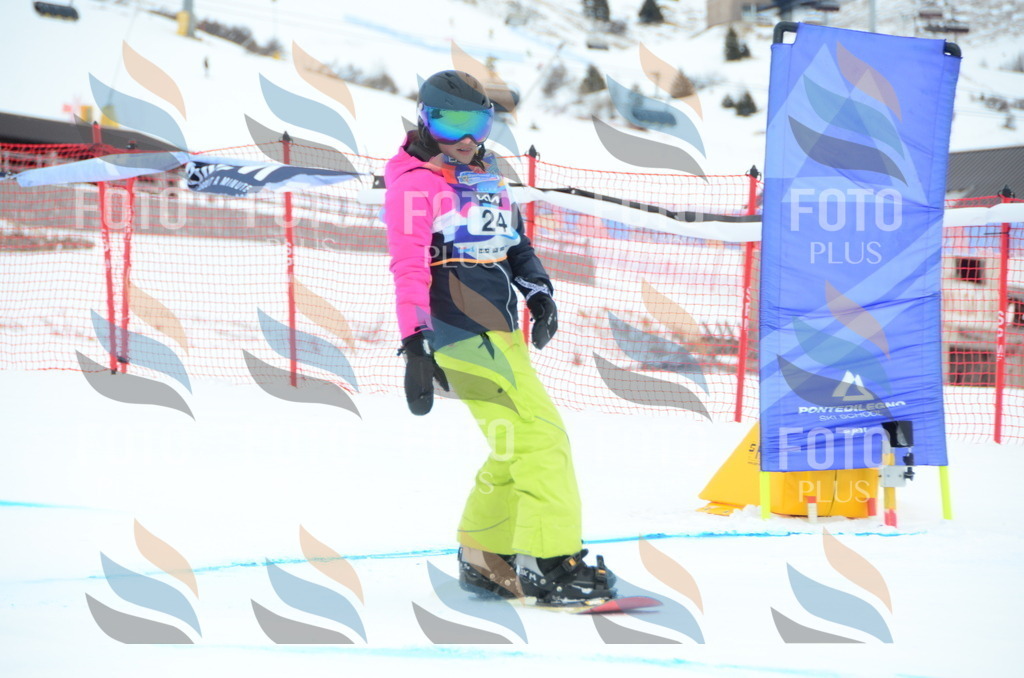 DSC_2271 | holidayphoto