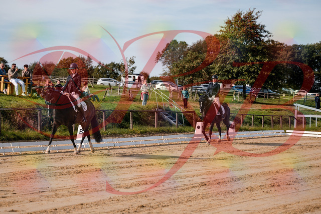 2026_10_03_Siefer-Hof_113252_Z63_19344190 | Professionelle Reitsport-, Turnier- und Eventfotografie von Robert Broda. Galerien mit ausgewählten und bearbeiteten Bildern direkt online ansehen und bestellen.