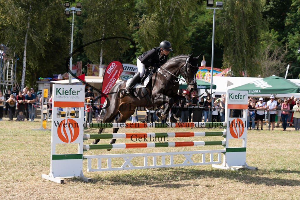 A7V09174 | Pferdefotograf