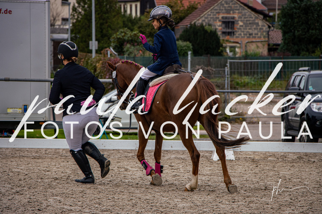 IMG_0552 | Erleben Sie dynamische Sport- und emotionale Tierfotografie in Süddeutschland mit Fotos von Paula. Spezialisiert auf Pferde- und Hundefotografie sowie Sportevents. Kontaktieren Sie mich für einzigartige und ausdrucksstarke Bilder Ihrer besonderen Momente. - Realisiert mit Pictrs.com