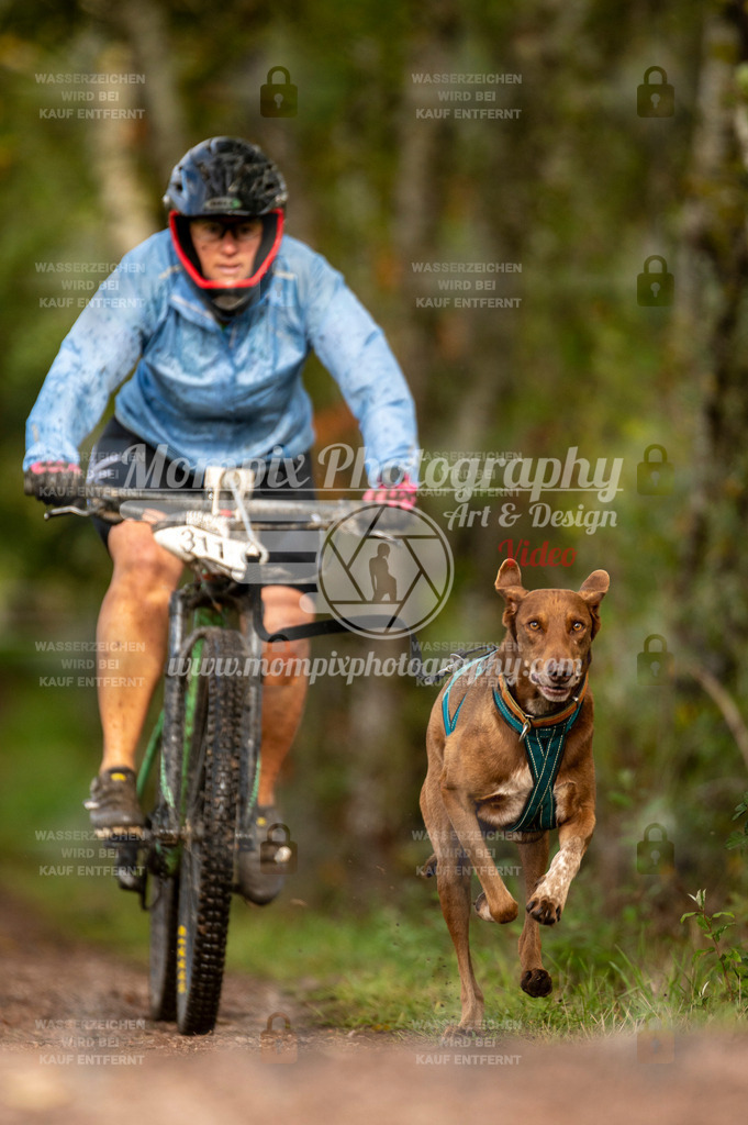 TSB_2023_E4_Bike-68 | PayLife