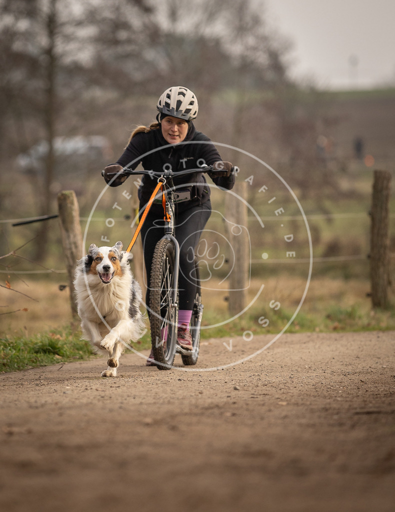 Pfotenfotografie_DV3A4193 | Hundefotografie, Tierfotograf, Pfotenfotografie, Fotoshooting Hund, Hunde Portrait, Hundesport, Hundeportraits, Heideshooting, Hunde, Sportfotograf, Hundefotograf, Turnierhundsport, THS,  - Realisiert mit Pictrs.com