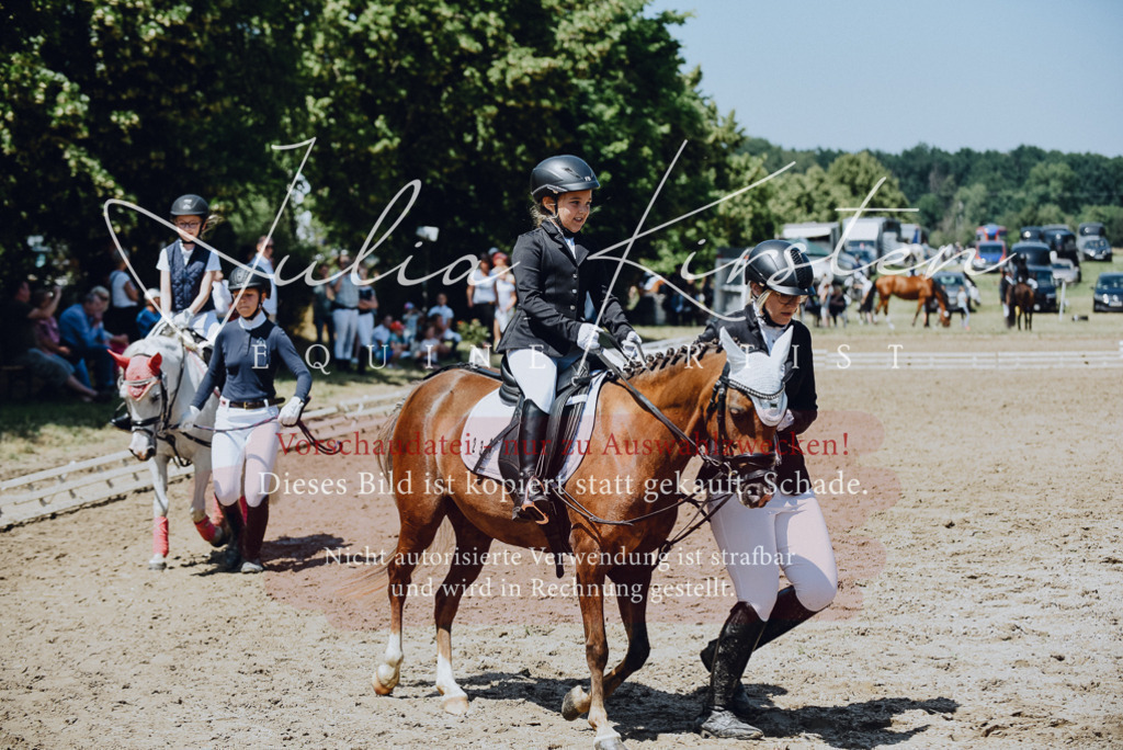 DSC_2463 | Pferde- und Turnierfotografie in Westsachsen. Pferdeportraits, Auftragszeichnungen und intuitive Kunst.
