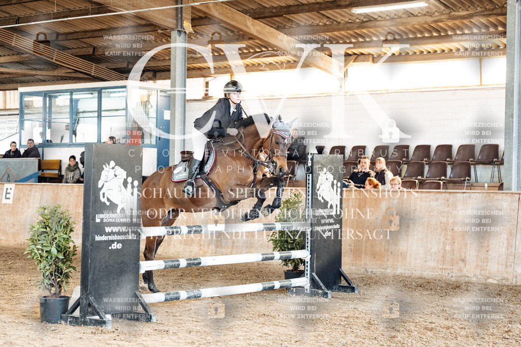 CK905223 | Turnierfotografie Pferdefotografie Trier Rheinland-Pfalz Pferdesport Reitsport Tierfotografie Sportfotografie Pferdevideo Pferdevideografie Equestrianvideography equestrianphotography  - Realisiert mit Pictrs.com