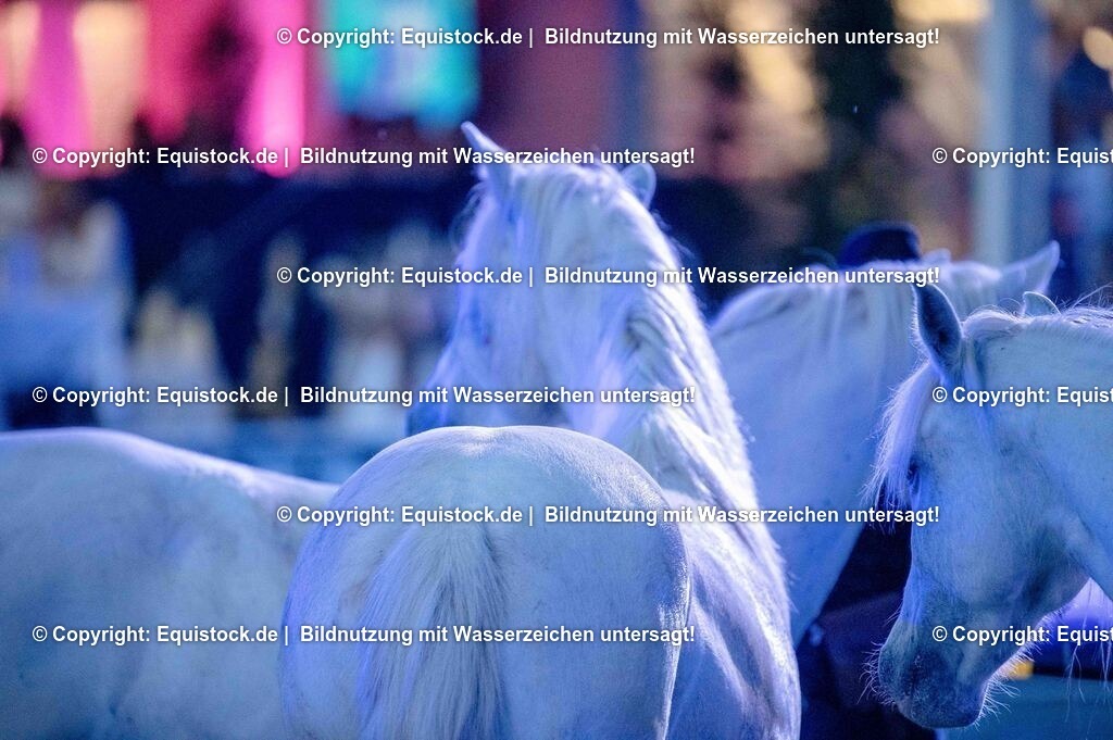 20250606_Lange-Pferdenacht_1069 | Foto: Thomas Hartig