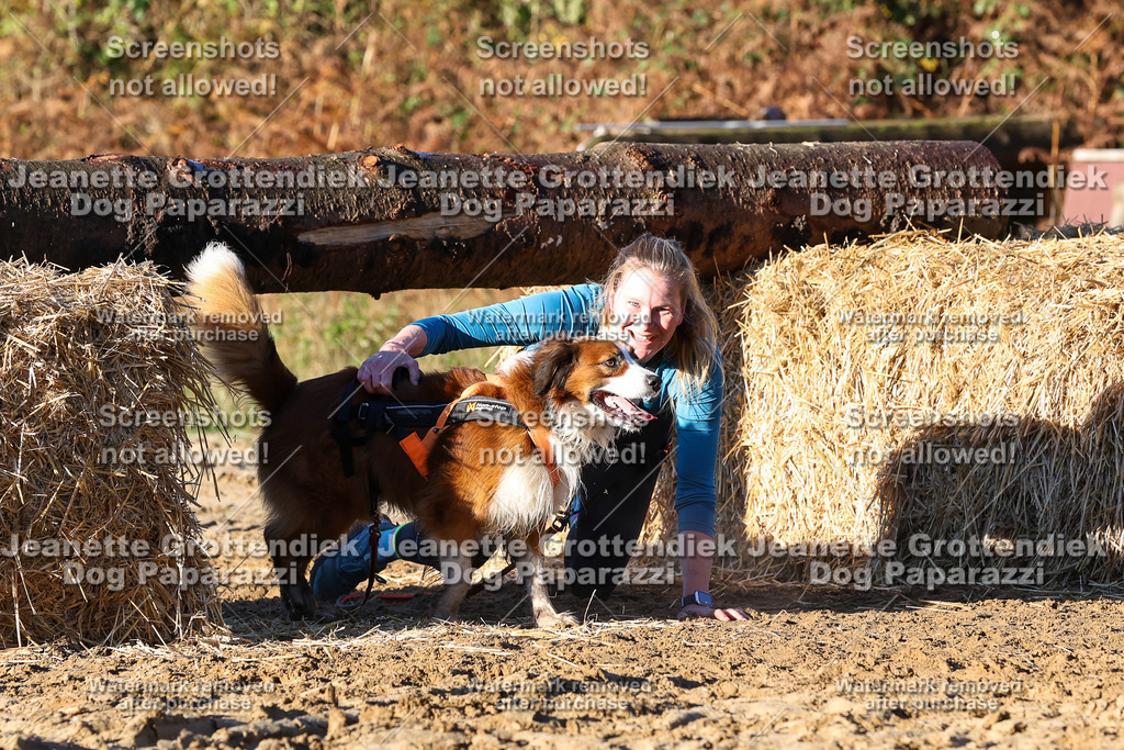 Dog Paparazzi - Strongdog 10-25-1180 | Dog Paparazzi Jeanette Grottendiek Fotografie & Videografie - Realisiert mit Pictrs.com