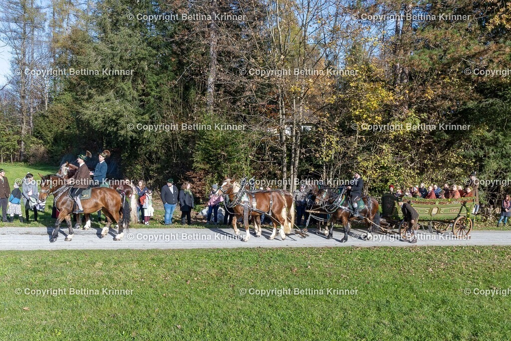 LBT24-709 | foto-bettina-krinner - Realisiert mit Pictrs.com