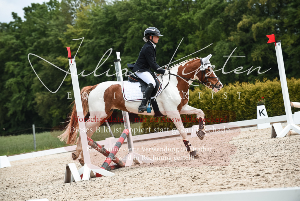 20230518_JK-Röhrsdorf-10-660 | Pferde- und Turnierfotografie in Westsachsen. Pferdeportraits, Auftragszeichnungen und intuitive Kunst.