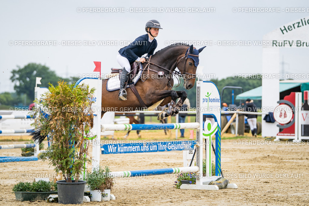 DSC02544 | Pferdegrafie