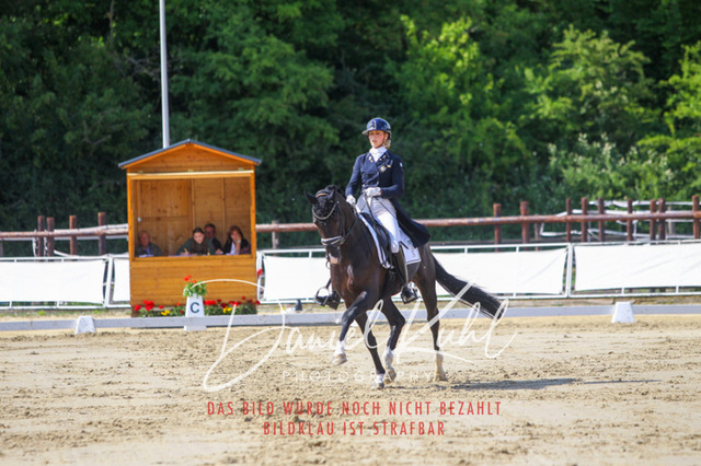 DKP46493 | Turniersportfotografie; Pferdefotografie; Dressurfotografie