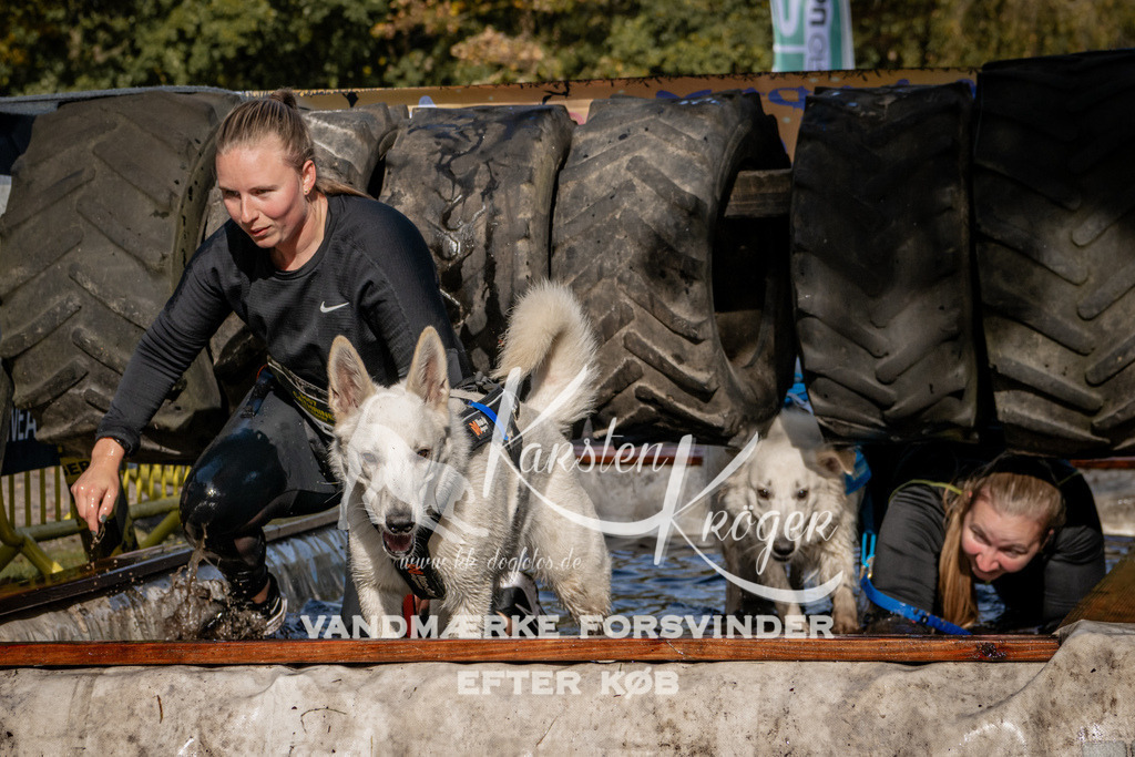 1305_ZZ91893 | kk-dogfotos