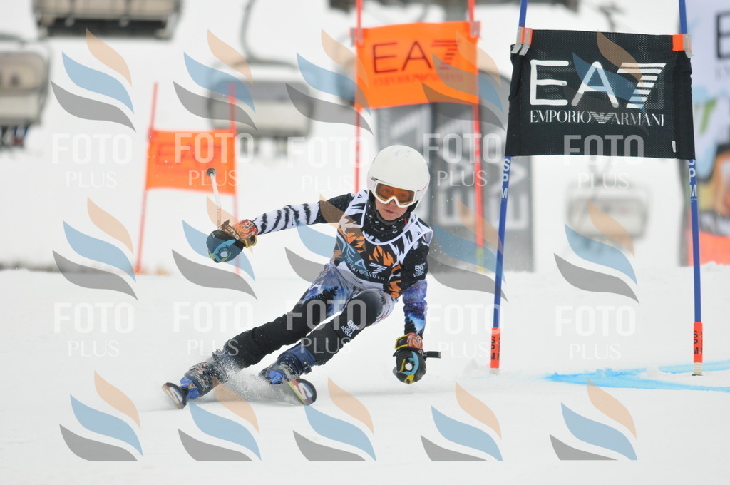 DSC_7348 | holidayphoto