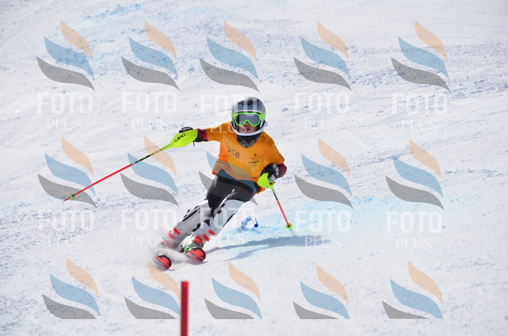 C9829 | holidayphoto