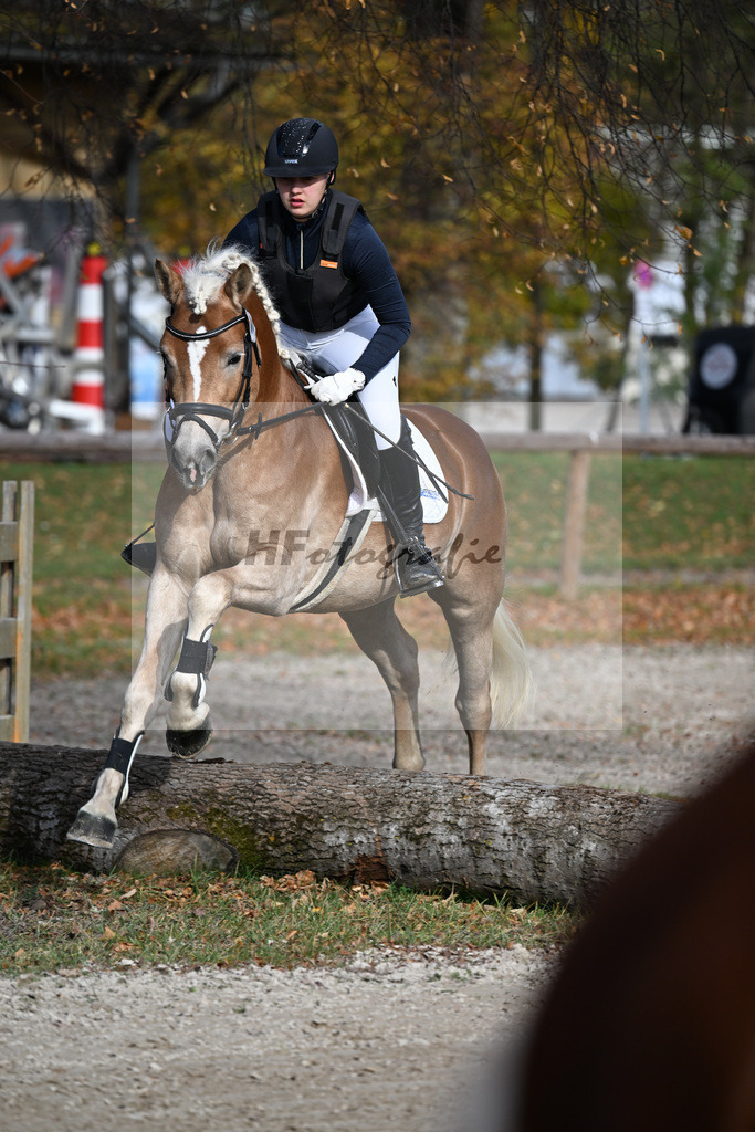 Kat-Nr. 4 Bonfire v. Bon Jovi_Freidhof-Debes_43250585 | hf-fotografie - Realizzato con Pictrs.com