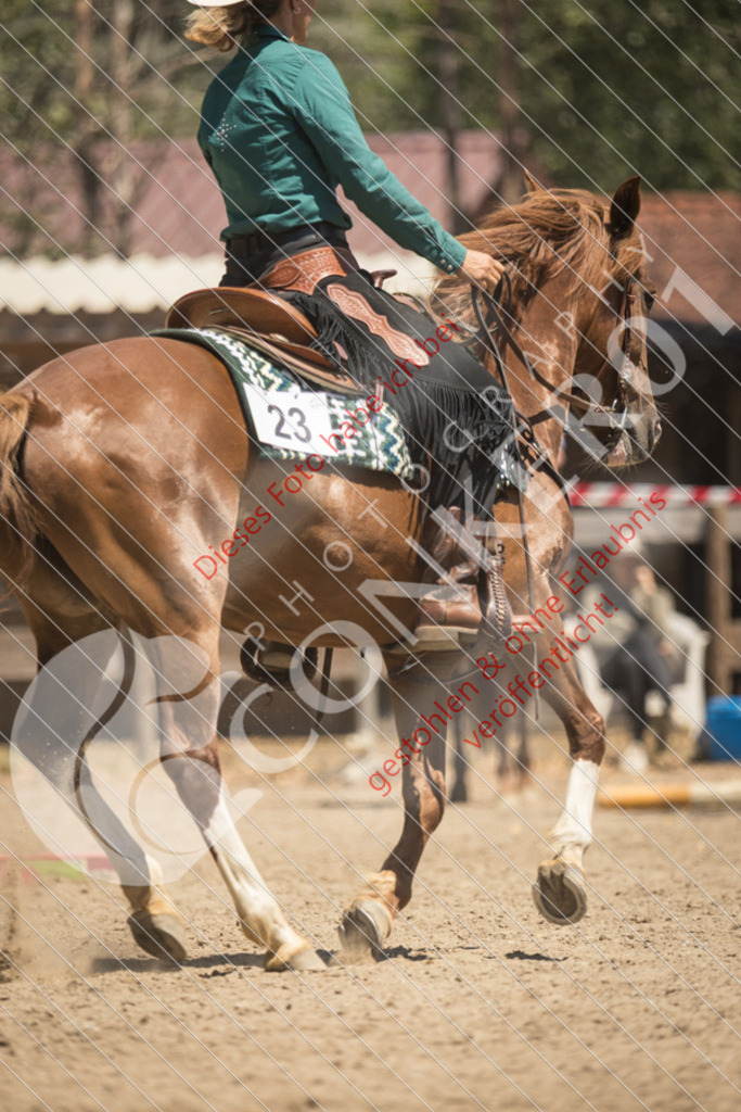 IMG_0119 | Sport-, Event- und Tierfotos in Profiqualität. Einfach auswählen, bestellen und herunterladen. Dein Moment – perfekt festgehalten.