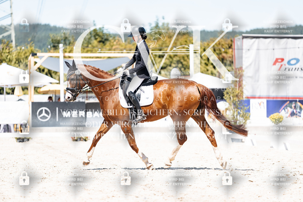 CK900526 | Turnierfotografie Pferdefotografie Trier Rheinland-Pfalz Pferdesport Reitsport Tierfotografie Sportfotografie Pferdevideo Pferdevideografie Equestrianvideography equestrianphotography  - Realisiert mit Pictrs.com