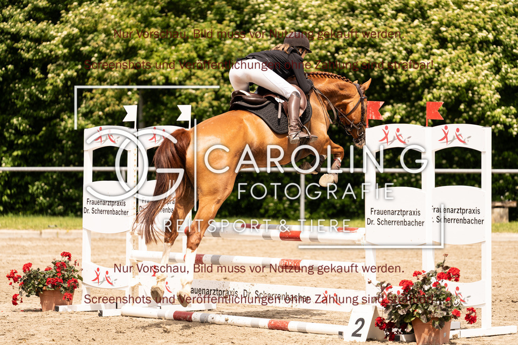 DSC02658 | Turnierfotografin Carolin Gieschke, Turnierfotografie Carolin G Fotografie, Turnierfotos Kirchheim/Teck, Esslingen, Stuttgart, Bodenseekreis