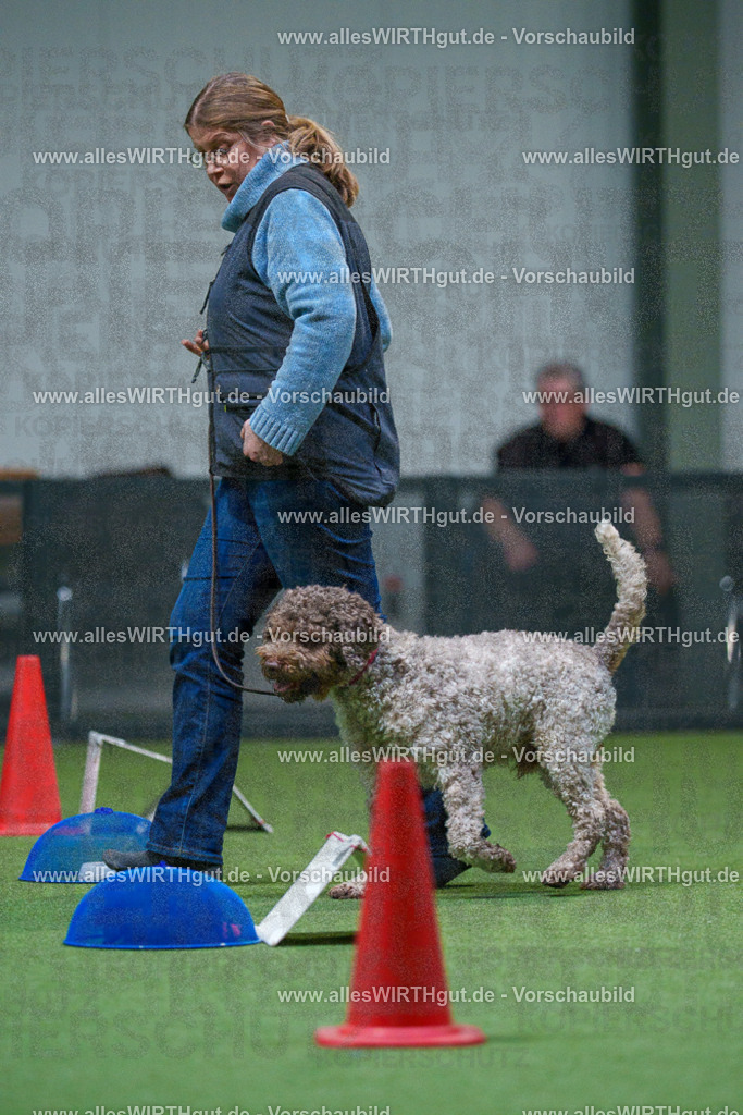 7R503031 | Professionelle Tierfotografie in Mönchengladbach von Daniel Wirth (allesWIRTHgut). Liebevolle & natürliche Bilder von Hunden & Katzen für unvergessliche Erinnerungen.