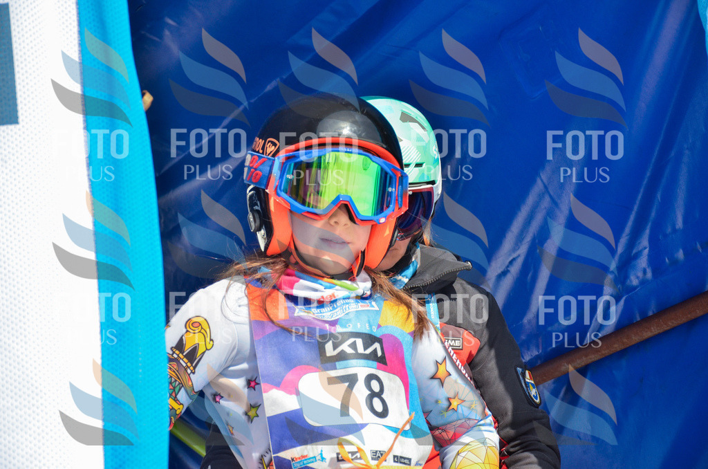 _ELE5523 | holidayphoto