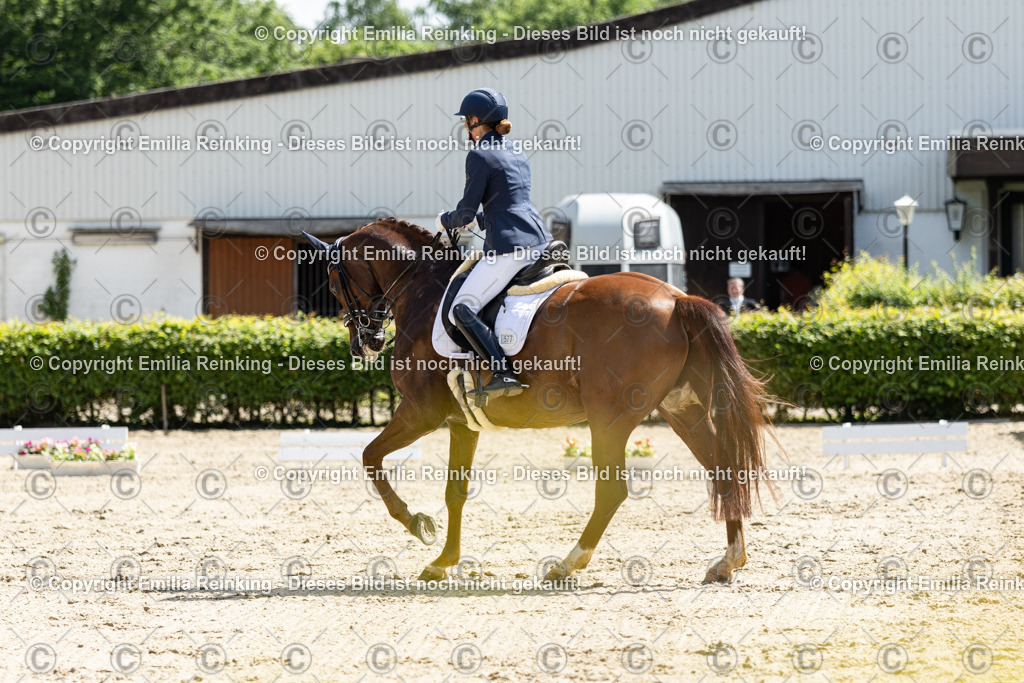 CL5A8262 | Emilia Reinking Fotografie - Realisiert mit Pictrs.com