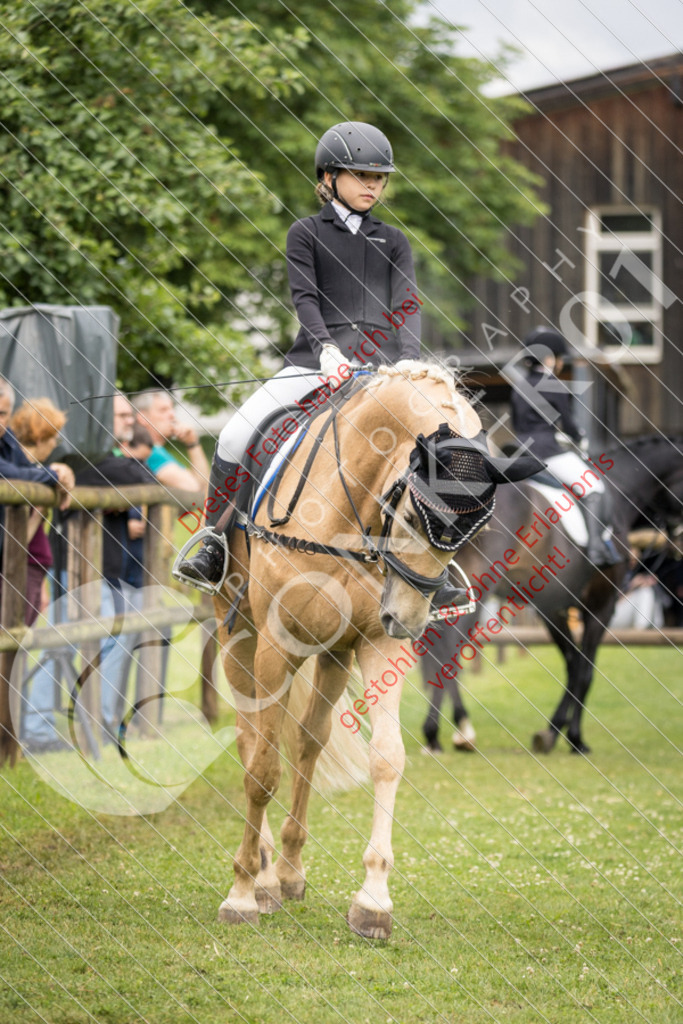 IMG_1652 | Sport-, Event- und Tierfotos in Profiqualität. Einfach auswählen, bestellen und herunterladen. Dein Moment – perfekt festgehalten.