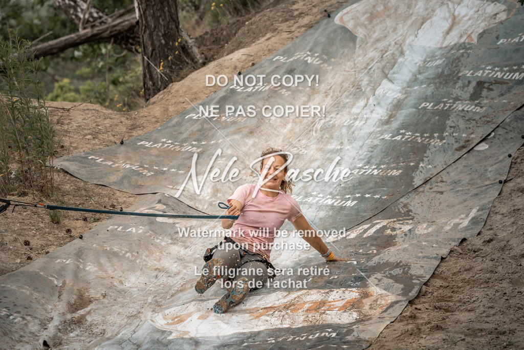 nelerasche_sa1430-1500_177 | nelerasche